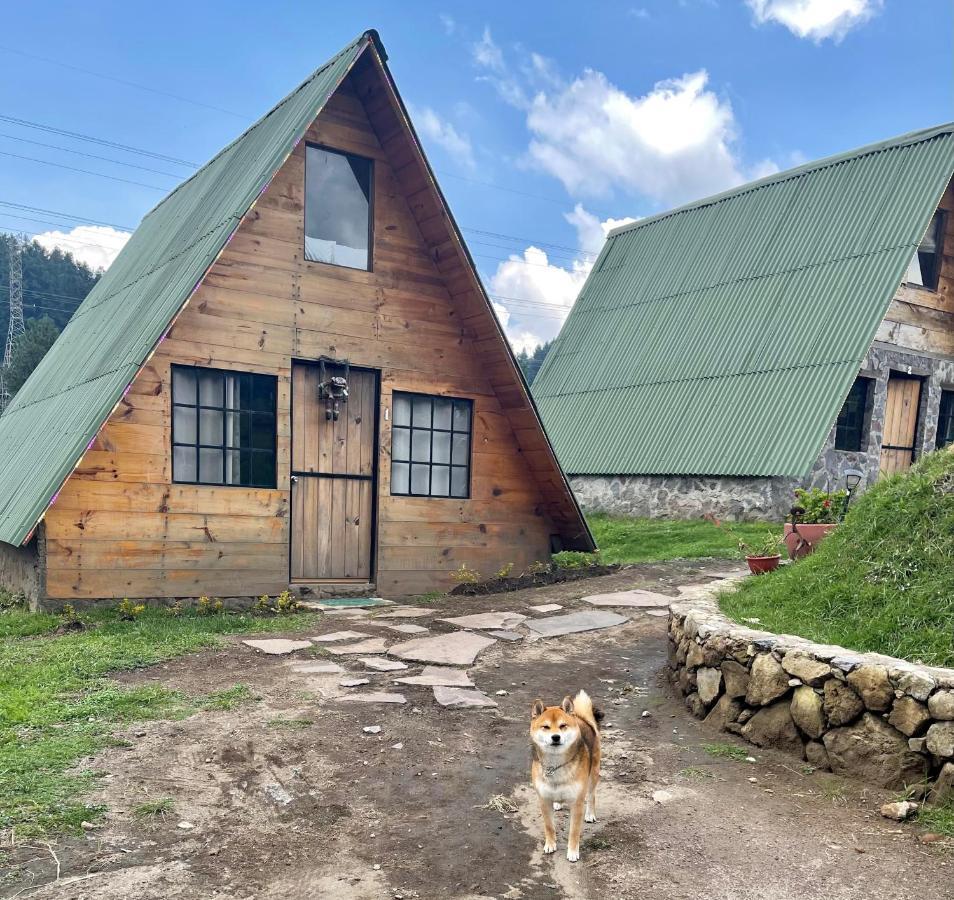 Campingplatz Bosque De Perlillas *